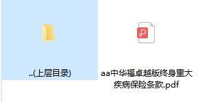 中华福卓越版终身重大疾病保险条款.zip
