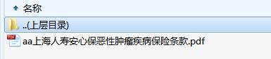 上海人寿安心保恶性肿瘤疾病保险条款.zip