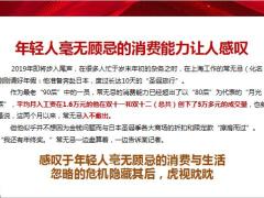 这一届年轻人的爆买与暴负12页.pptx