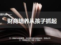 春节假日营销经济意义客户画像沟通逻辑售后跟进41页.ppt