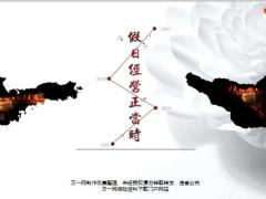 2020春节假日经营重要性收入来源工具选择36页.ppt