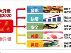太平洋至尊鑫满意产品模压2产品亮点11页.pptx