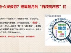 新春增员之白领生存报告动摇点分析14页.pptx