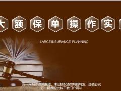 大额保单操作实务33页.pptx