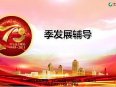 中国人寿季发展辅导总体思路发展规划路线图50页.pptx