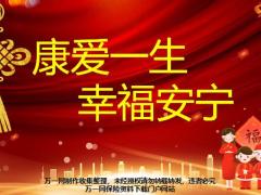 健康产说会国寿康宁19客联会主讲课件50页.pptx
