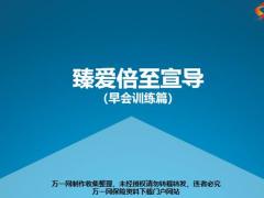 百年臻爱倍至背景责任特色投保案例相关规则介绍99页.pptx