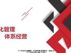 细化管理体系经营26页.pptx