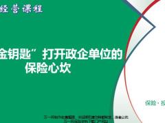 用金钥匙打开政企单位的保险心坎16页.pptx