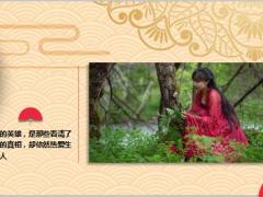 被央视点名的网红李子柒的励志故事44页.ppt