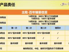 百年臻爱倍至产品介绍及案例解析33页.pptx
