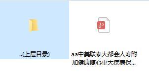 中美联泰大都会人寿附加健康随心重大疾病保险条款.zip