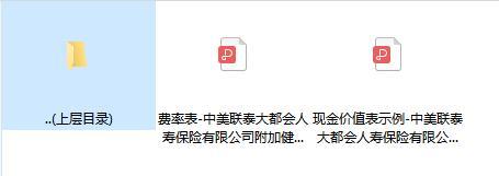 中美联泰附加健康随心豁免保费疾病保险费率现金价值.zip