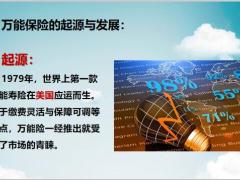 万能险起源介绍百年人寿星钻账户介绍运作流程图17页.pptx