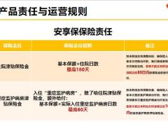 百年附加安享保住院津贴医疗保险宣产品责任运营规则投保案例介绍14页.pptx