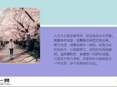 每日鸡汤没人想知道你努力的过程想看到的是结果.zip