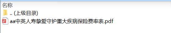 中英人寿挚爱守护重大疾病保险费率表.zip