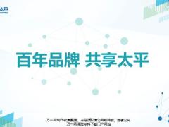 太平公司介绍与文化百年品牌共享含备注47页.pptx