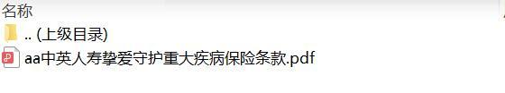 中英人寿挚爱守护重大疾病保险条款.zip