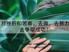 每日鸡汤笑对挫折和苦难去做去努力去争取成功.zip