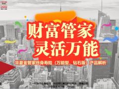 华夏金管家终身寿险产品介绍特色案例解析相关规则常见问题21页.pptx