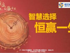 恒安标准智慧选择恒赢一生中高端合规版35页.pptx
