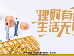 国寿康宁19理财有道生活无忧18页.pptx