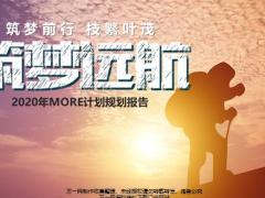 2019年工作概述亮点与不足2020年MORE计划规划报告26页.pptx