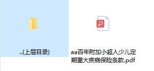 百年附加小超人少儿定期重大疾病保险条款.zip