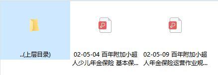 百年附加小超人少儿年金保险费率运营规则.zip