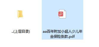 百年附加小超人少儿年金保险条款.zip