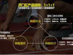华夏人寿福临门盛世加强版产品形态特色案例77页.pptx