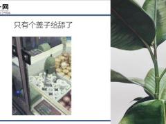 每日快乐早会20年1月20日使用12页.ppt