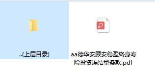 德华安顾安稳盈终身寿险投资连结型条款.zip