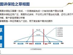 太平洋人寿守护专享草帽图16页.pptx