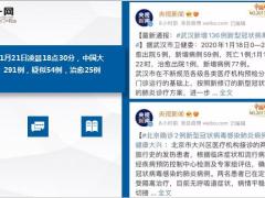 2020肺炎疫情中国大陆确诊291例23页.ppt