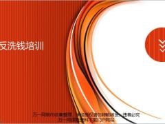 2020反洗钱培训分公司合规与风险13页.pptx
