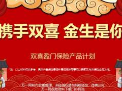 华夏双喜盈门保险背景计划形态特色案例演示销售训练34页.pptx