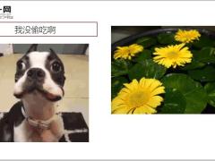 每日快乐早会20年2月3日使用12页.ppt