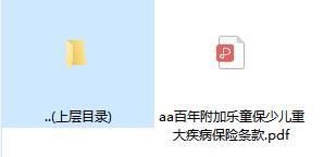 百年附加乐童保少儿重大疾病保险条款.zip