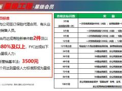 国寿2020版基本法之最优主管发展计划34页.pptx