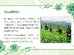 每日健康高血压的罪魁祸首不是盐12页.ppt