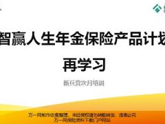 泰康智赢人生年金保险产品计划再学习47页.pptx