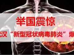 2020微创会创业说会主讲太平版55页.pptx