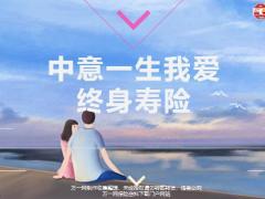 中意一生我爱终身寿险背景保险责任案例38页.pptx