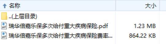 瑞华倍嘉乐保多次给付重大疾病保险条款费率.zip