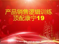 国寿顶配康宁19产品销售逻辑训练39页.pptx