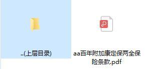 百年附加康定保两全保险条款.rar
