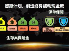 泰康年金账户销售逻辑44页.pptx
