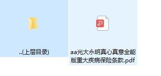 光大永明真心真意全能版重大疾病保险条款.zip